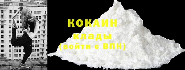 Альфа ПВП Верея