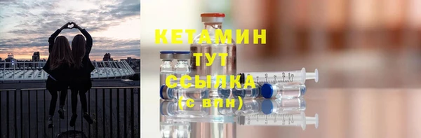 сатива Бородино