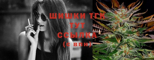 Альфа ПВП Верея