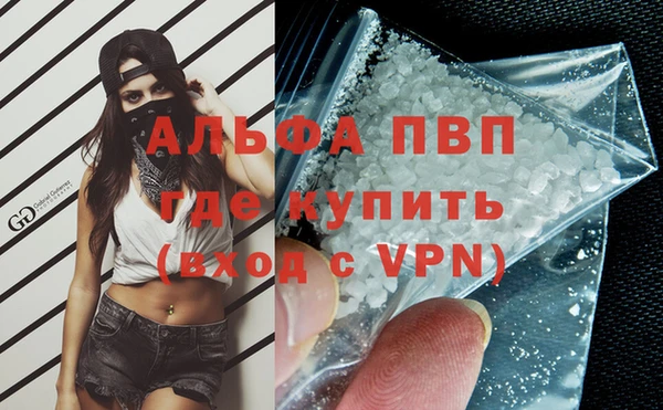 Альфа ПВП Верея
