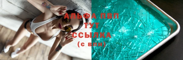 Альфа ПВП Верея
