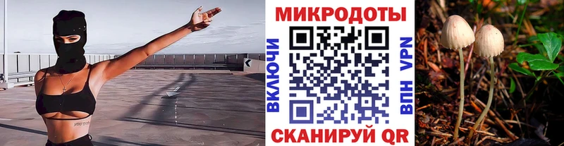 Купить  Волосово  Псилоцибиновые грибы Magic Shrooms 