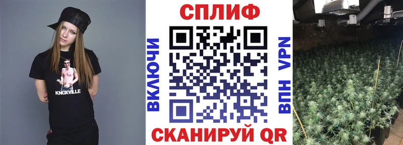 Марихуана сатива  Купить где  Волосово 